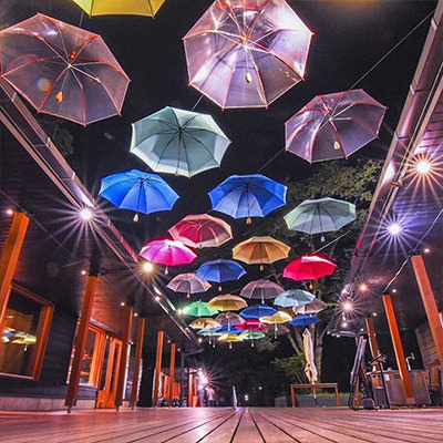 ハルニレテラス