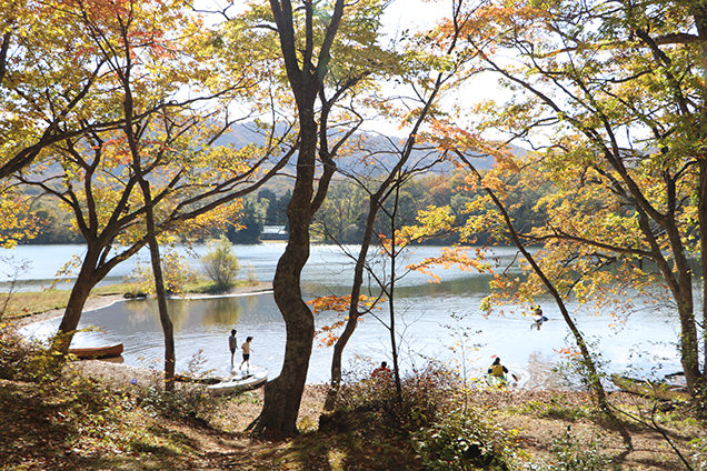 宇樽部キャンプ場の紅葉