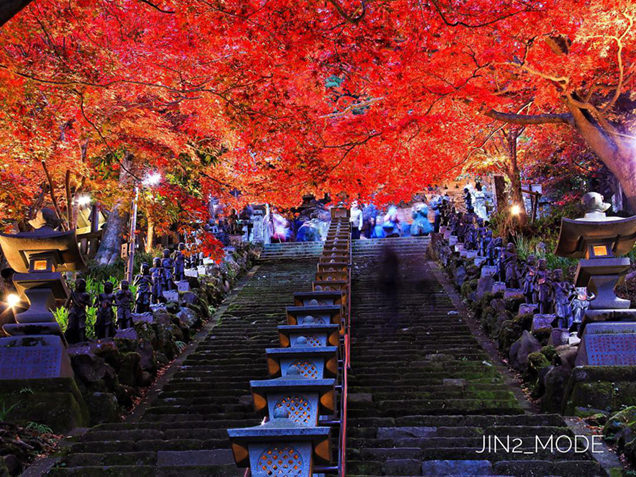 大山寺のライトアップ