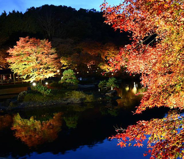 修善寺 虹の郷 ライトアップ