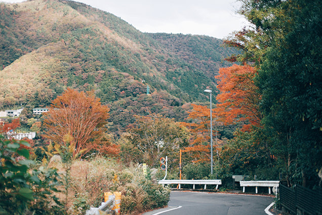 彫刻の森駅　紅葉