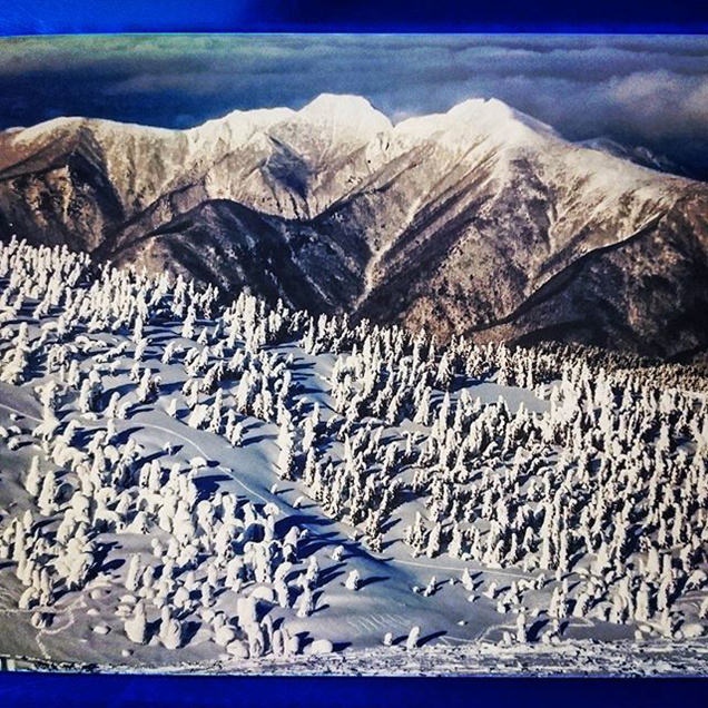 TOSHIHARU TAKAHASHI 様