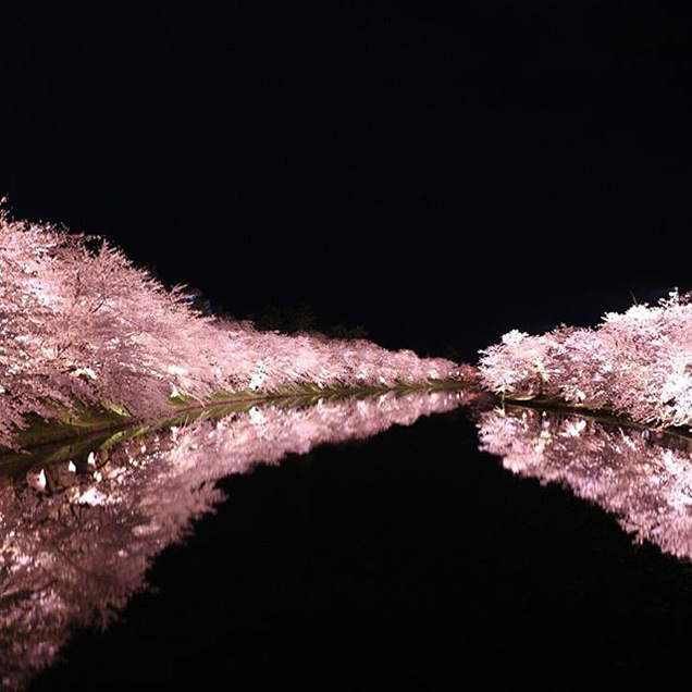 弘前さくらまつり　ライトアップ