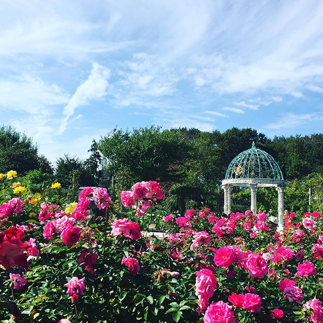 京成バラ園