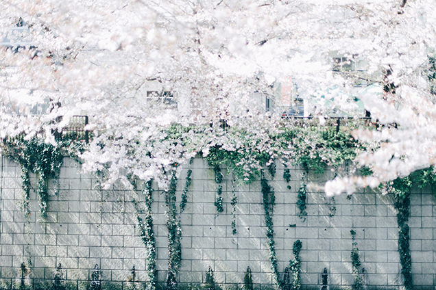 Alt：川を隔てた反対側の壁に落ちる影