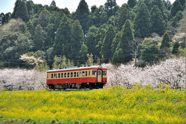 いすみ鉄道　キハ52