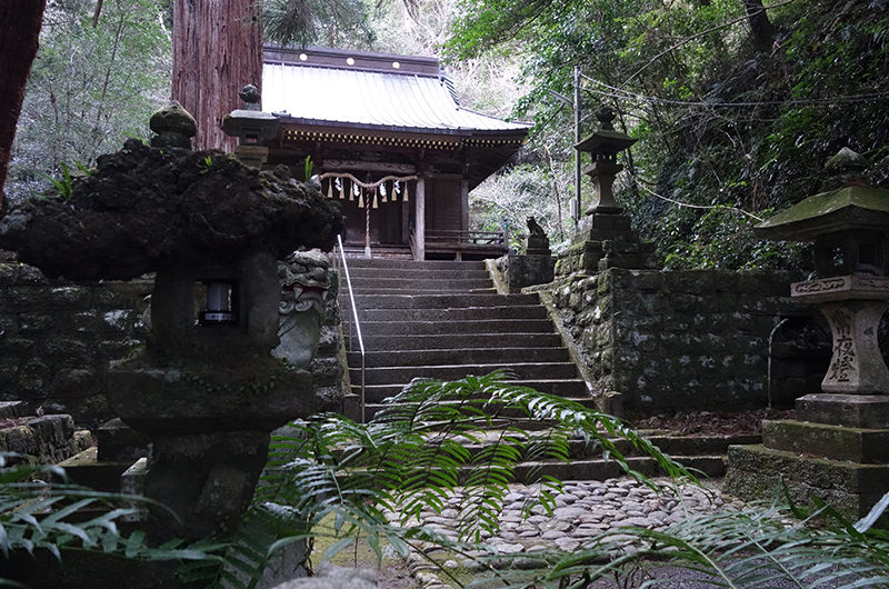 ⑤ 熱川（静岡）