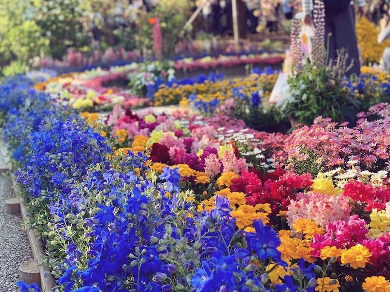 あしかがフラワーパーク　花壇