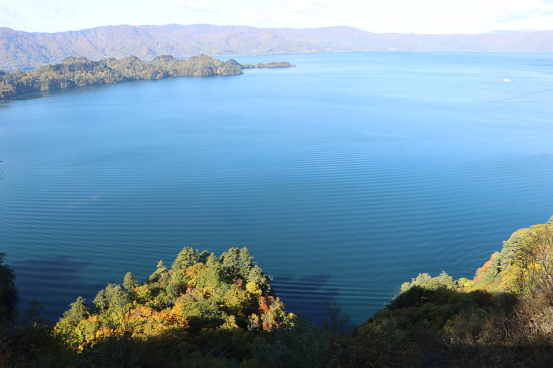 十和田湖の湖畔は豊かな緑に囲まれていて、散歩にぴったり