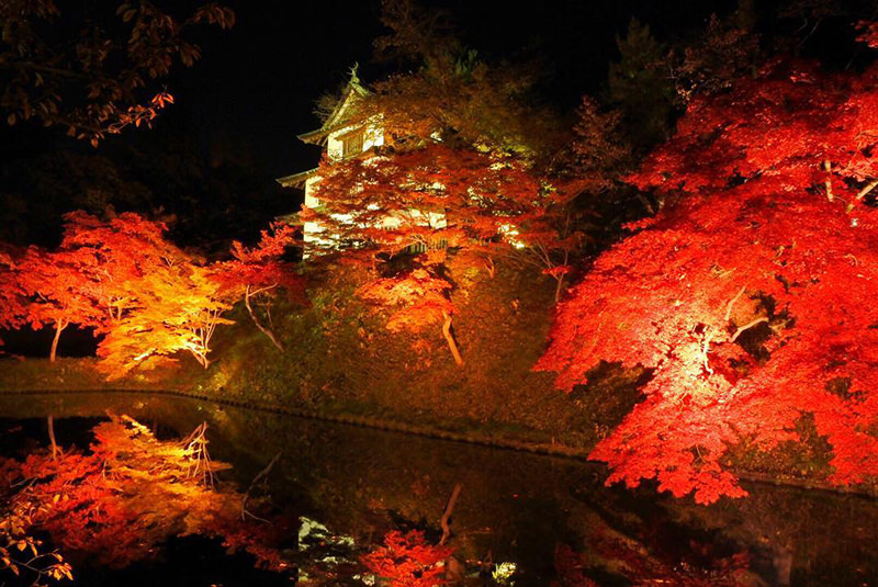 弘前城菊と紅葉まつり