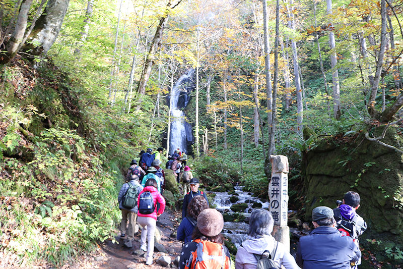 奥入瀬渓流　雲井の滝