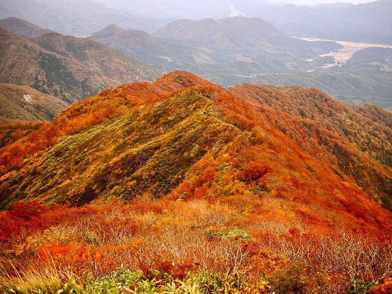 禿岳の紅葉風景