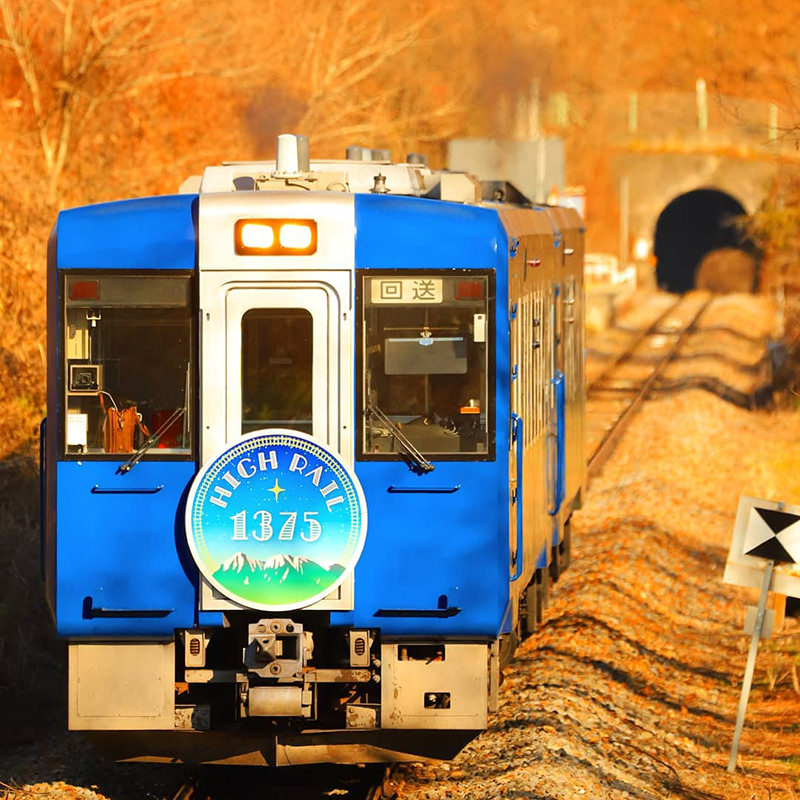 紅葉景色の中を走るHIGH RAIL 1375