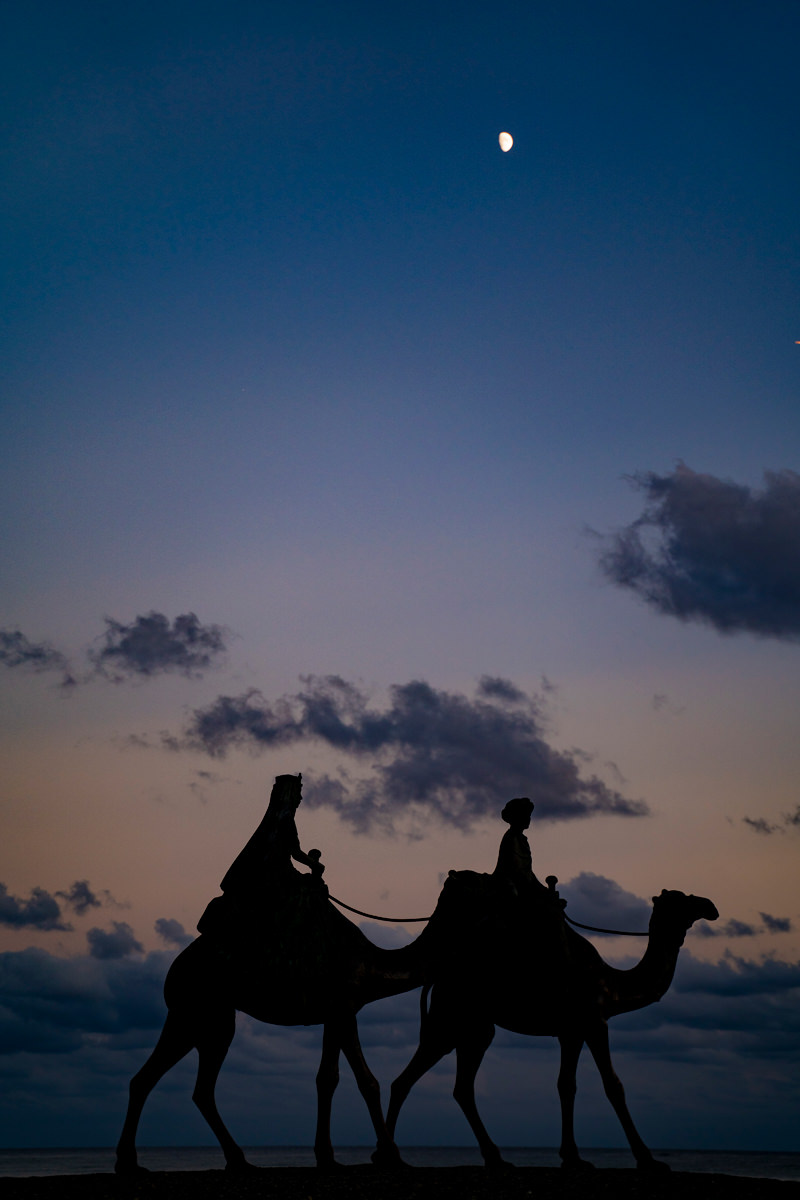 月の沙漠記念公園