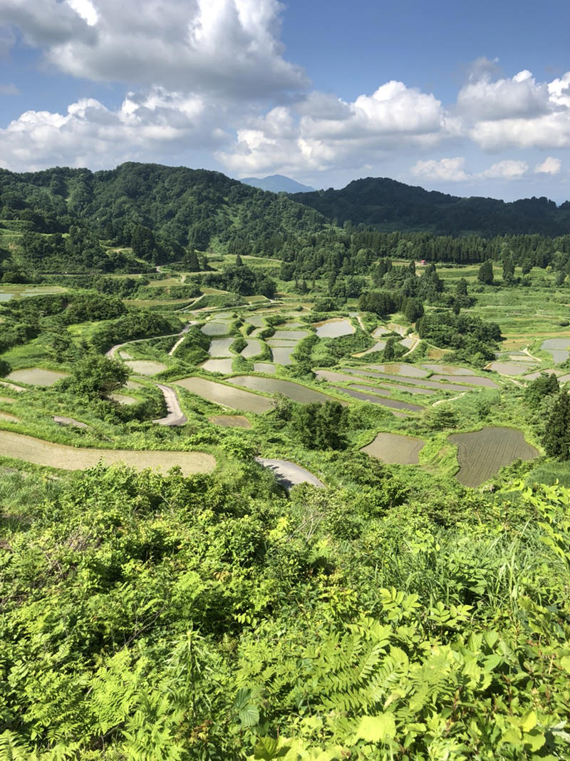 棚田と青空