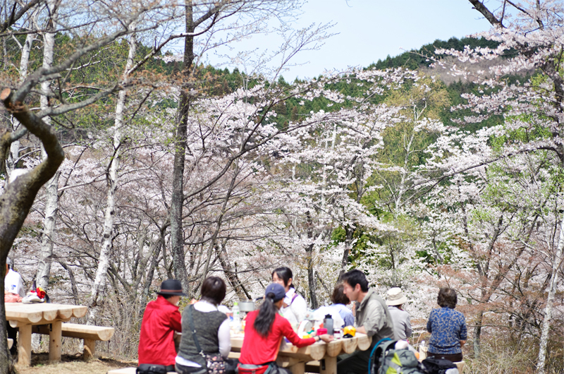 高尾山の一丁平園地周辺