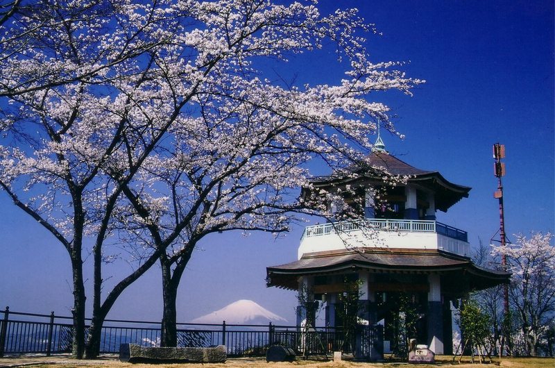 権現山の山頂景色