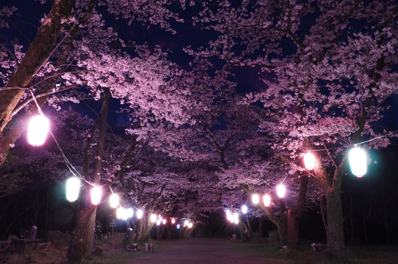 馬場道のライトアップ
