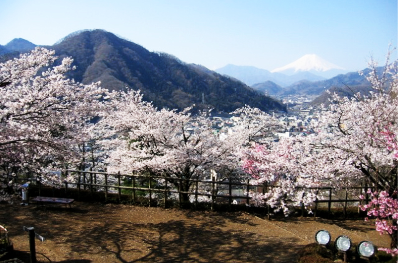 岩殿山 山頂展望地の景色