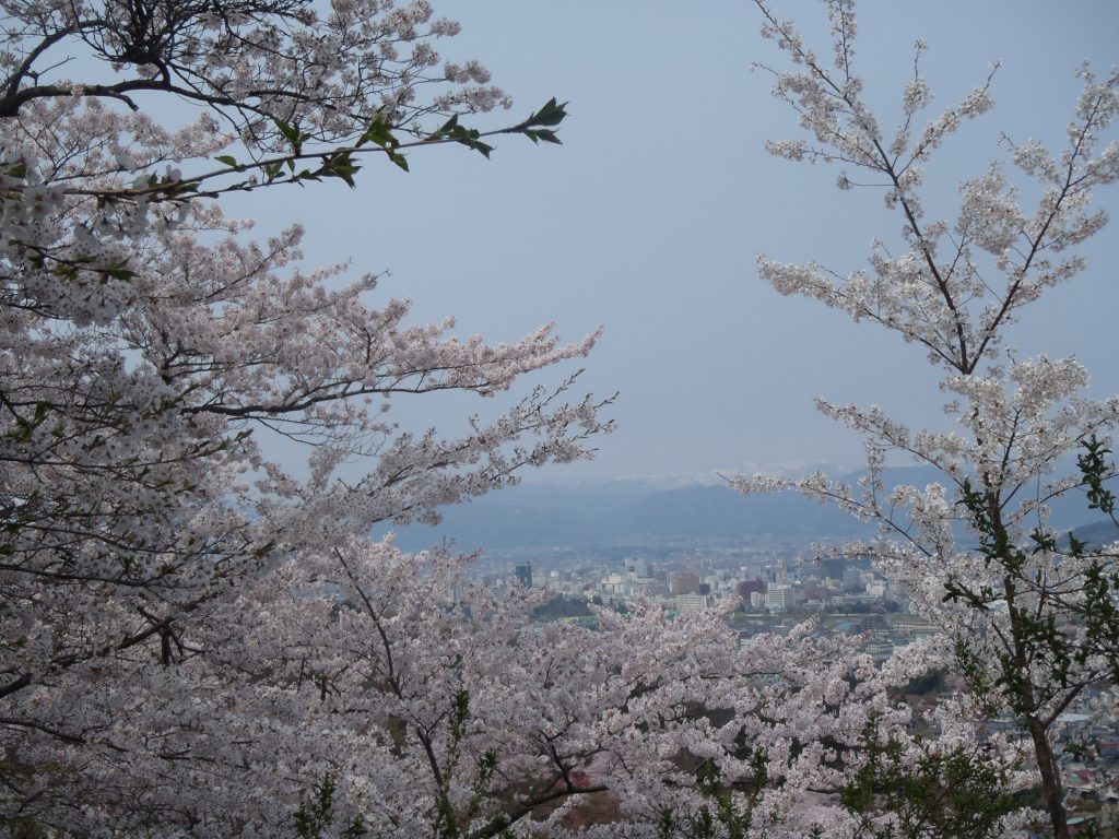 花見山公園の山頂展望台