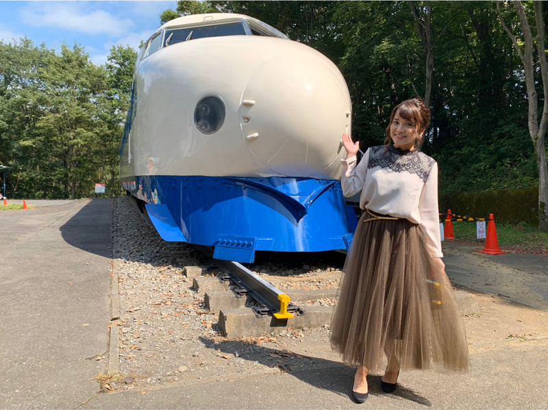 屋外に展示された0系新幹線