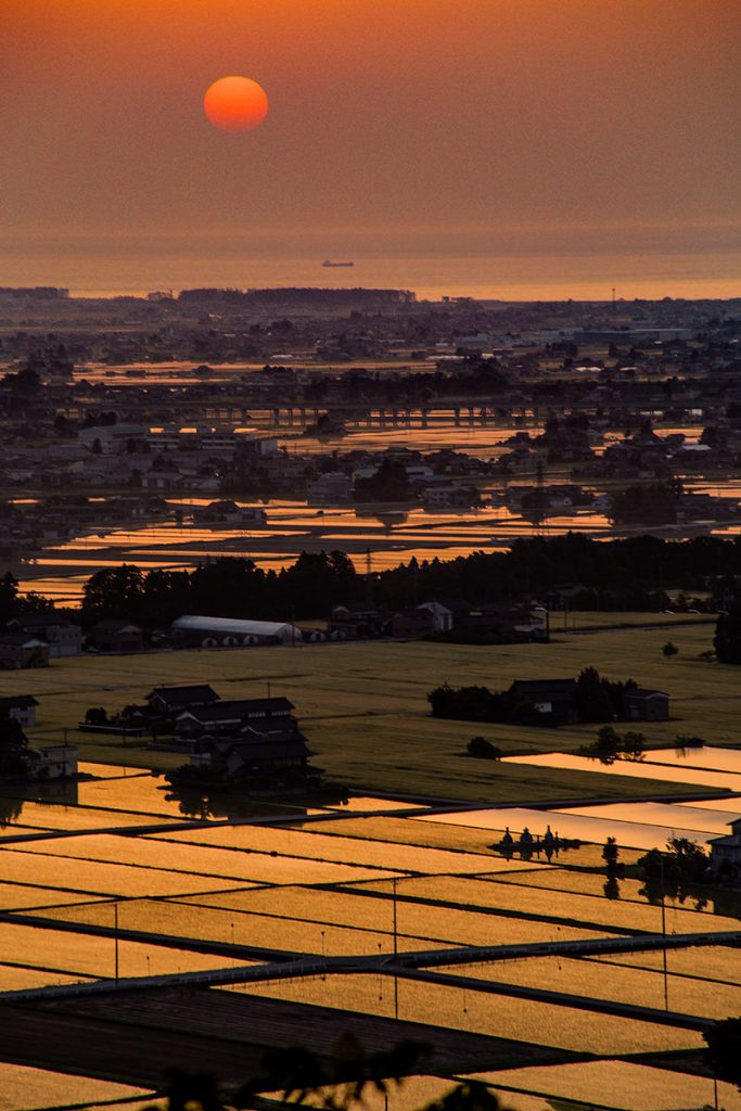 田んぼと夕日の絶景