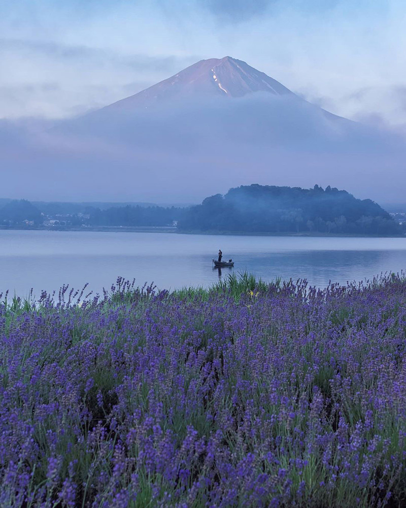 河口湖からの富士山