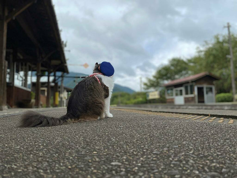 芦ノ牧温泉駅の名誉駅長らぶくん