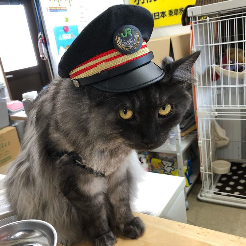 羽前小松駅のショコ・ラ・ダリヤ駅長