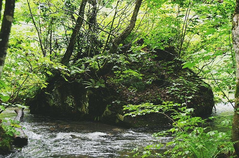 奥入瀬渓流