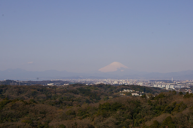 勝上けん展望台からの眺め