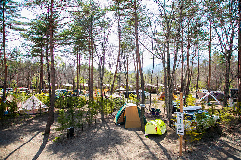 ライジング・フィールド軽井沢のキャンプ場（写真提供：株式会社ライジング・フィールド）