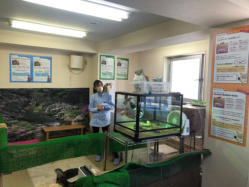 もふれる屋カラハリの内観（写真提供：もふれる屋カラハリ）。