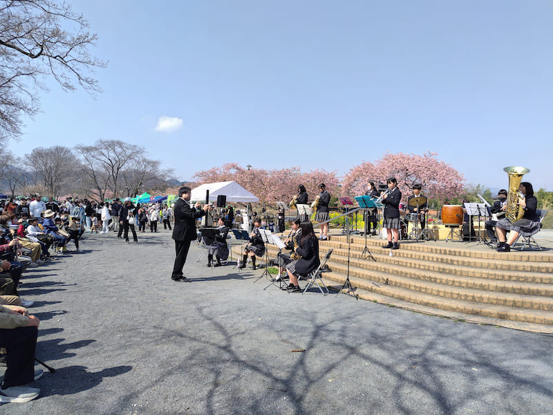 小田野中央公園のさくらまつりの様子（写真提供：小田野中央公園まちづくりの会）。
